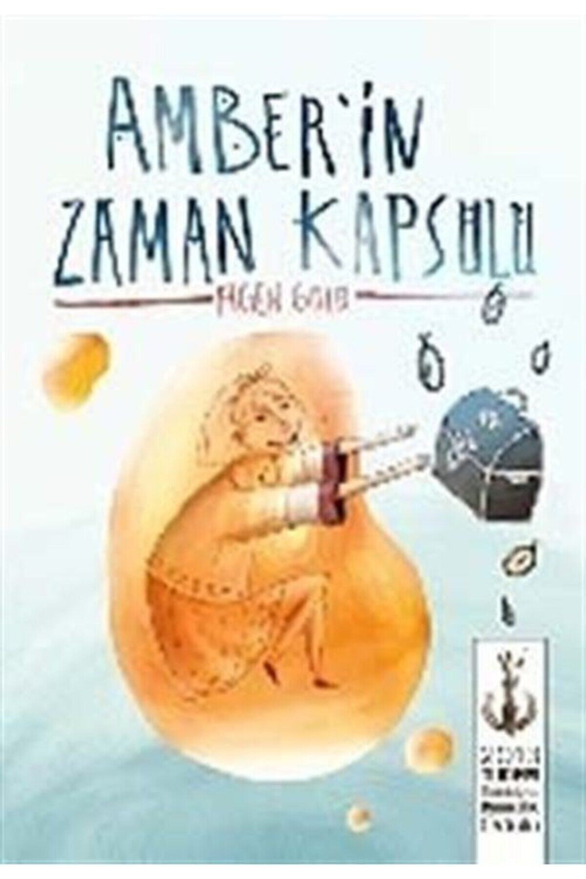 Amberin Zaman Kapsülü - Figen Gülü - Tudem Yayınları