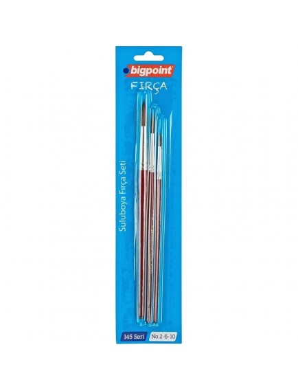 Bigpoint Bpfs145-02 145 Serisi Yuvarlak Fırça Seti 2-6-10 3'Lü Blister