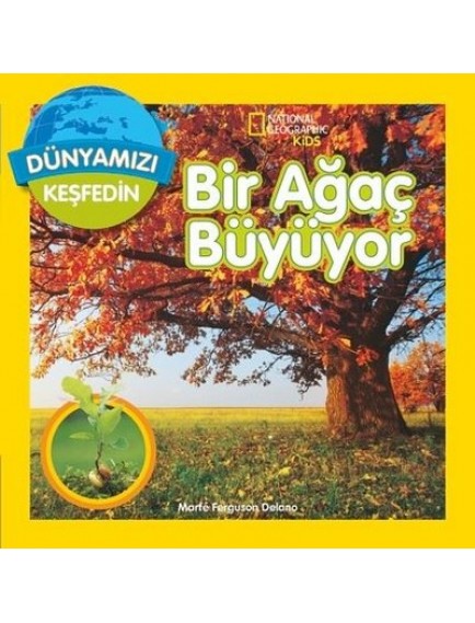 Bir Ağaç Büyüyor / Dünyamızı Keşfedin - Marfe Ferguson Delano - Beta Kids Yayınları