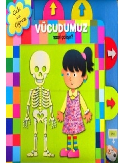 Çek ve Öğren  Vücudumuz Nasıl Çalışır ? - Kolektif - Çiçek Yayınları