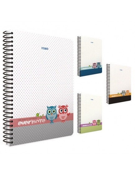 Gıpta 80 Yaprak A4 Envernote Spiralli Ofset Plastik Kapak Kareli Defter 1695