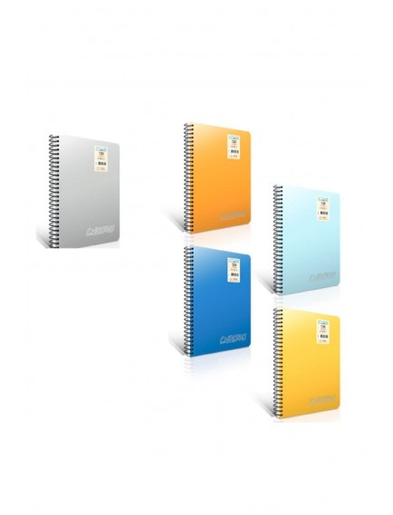 Gıpta 160 Yaprak A4 Chromo Spiralli Plastik Kapak Kareli Defter 1344