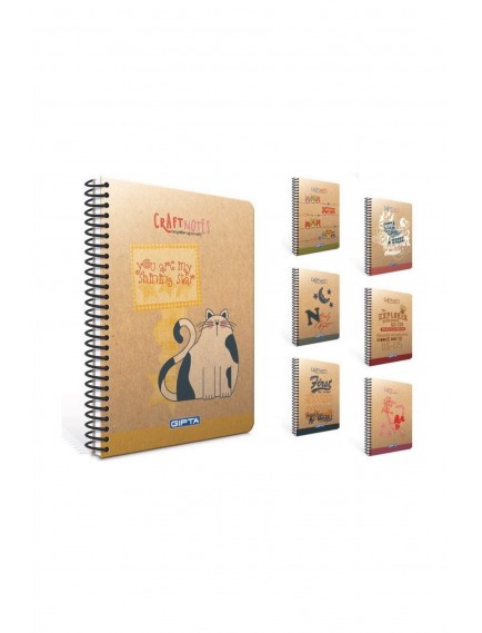 Gıpta 100 Yaprak 17X24 Craft Notes Spiralli Sert Kapak Kareli Defter 1778