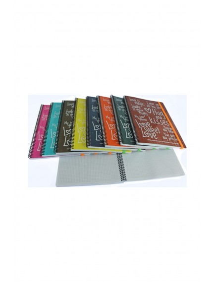 Gıpta 80 Yaprak A4 Magic Spiralli Plastik Kapak Çizgili Defter 6867