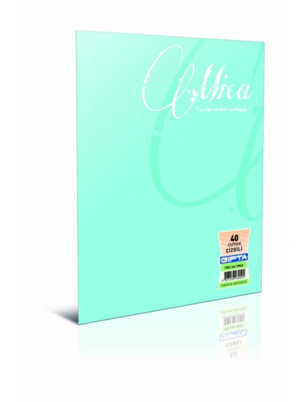 Gıpta 40 Yaprak A4 Mica Tel Dikiş Plastik Kapak Kareli Defter