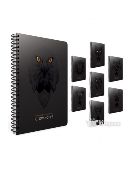 Gıpta 80 Yaprak 17X24 Glow Notes Spiralli Karton Kapak Çizgili Defter 4208