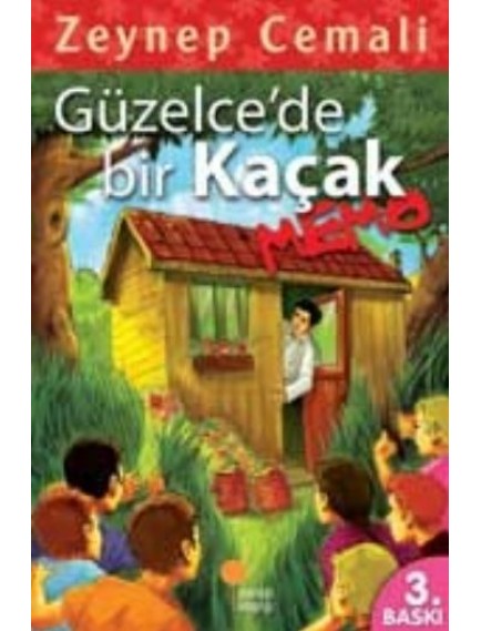 Güzelce'De Bir Kaçak Memo - Zeynep Cemali - Günışığı Yayınları