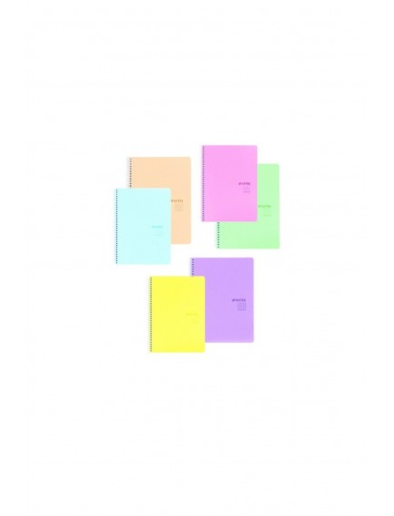 Keskin Color 100 Yaprak 17X24 Pastel Spiralli Plastik Kapak Çizgili Defter