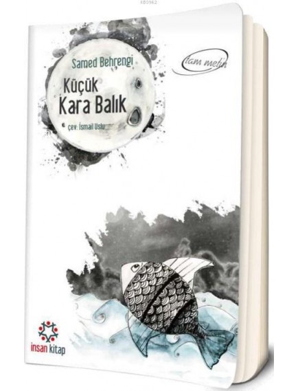 Küçük Kara Balık - Samed Behrengi - İnsan Yayınları