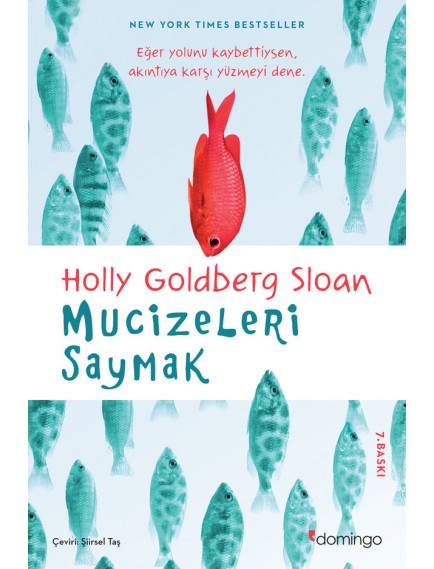 Mucizeleri Saymak - Holly Goldberg Sloan - Domingo Yayınevi