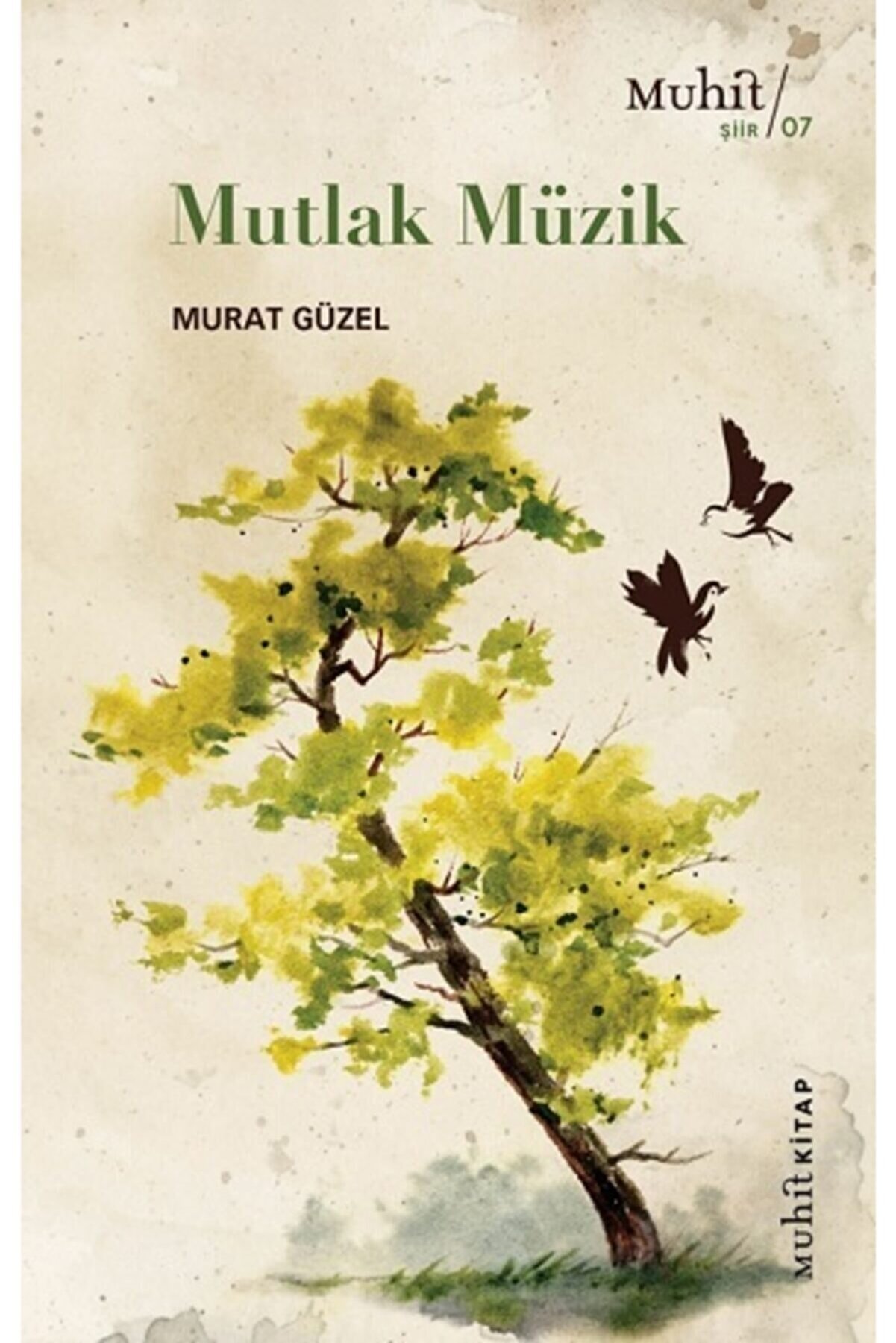 Mutlak Müzik - Murat Güzel - Muhit Kitap Yayınları