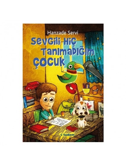Sevgili Hiç Tanımadığım Çocuk - Hanzade Servi - Tudem Yayınları