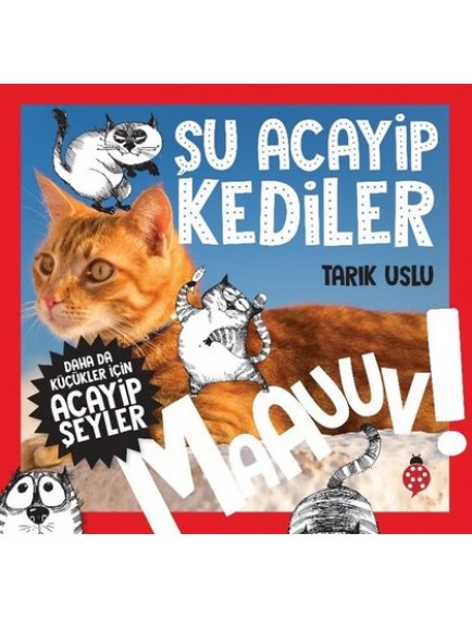 Şu Acayip Kediler / Daha Da Küçükler İçin - Tarık Uslu - Uğurböceği Yayınları
