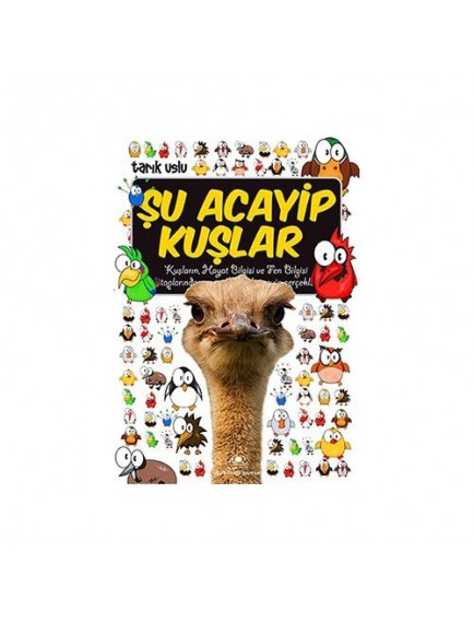Şu Acayip Kuşlar - Tarık Uslu - Uğurböceği Yayınları
