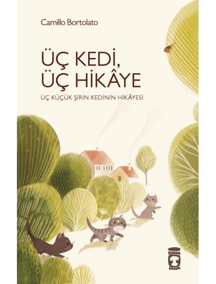 Üç Kedi Üç Hikaye - Camillo Bortolato - Timaş Yayınları